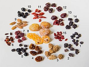 Archivo:Dried berries