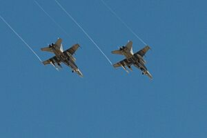 Archivo:F-18 Hornet del Ala 15 del Ejército del Aire Español aterrizando en la base aérea de Zaragoza 30 Mayo de 2024