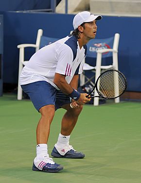 Archivo:Fernando Verdasco at the 2010 US Open 02