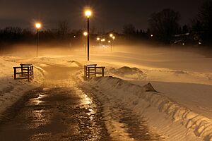 Archivo:Ground Fog on a winters night Ottawa 4