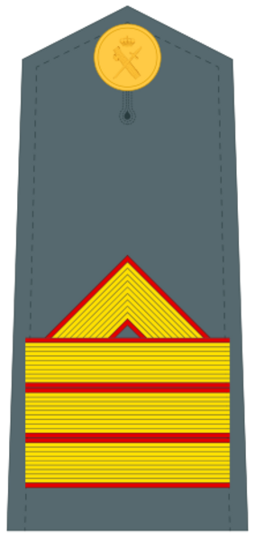 Guardiacivildivi31