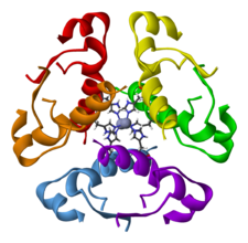 Archivo:Human-insulin-hexamer-3D-ribbons
