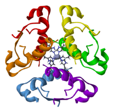 Archivo:Human-insulin-hexamer-3D-ribbons