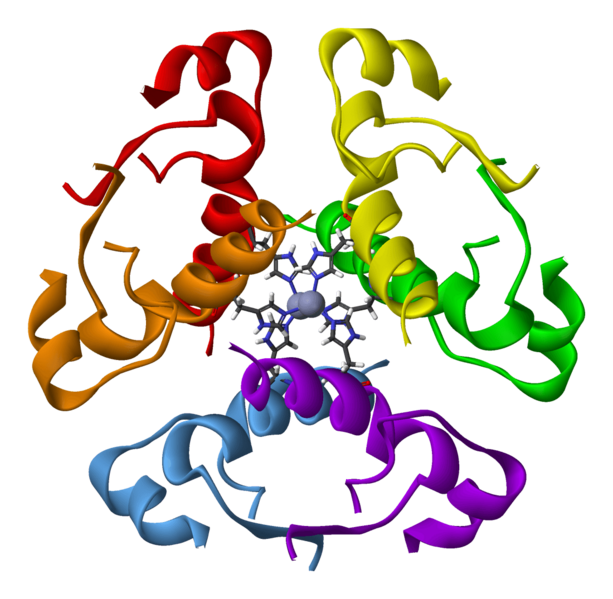 Human-insulin-hexamer-3D-ribbons