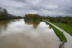 L'Yonne et le canal du Nivernais à Prégilbert PDSC 0184.jpg