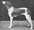 Leuhusen Braque Dupuy