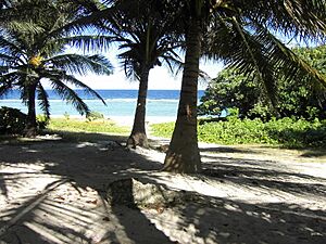 Archivo:Long Beach - Tinian - panoramio (7)