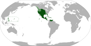 Archivo:Map of the Viceroyalty of New Spain
