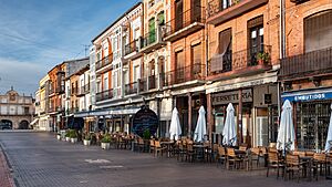 Archivo:Medina del Campo Plaza Mayor (53304754218)