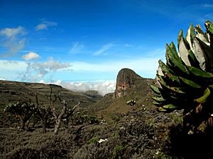 Archivo:Mount Elgon-2
