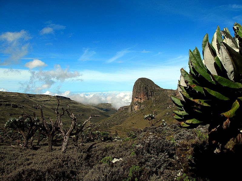 Mount Elgon-2
