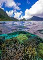 National Park of American Samoa