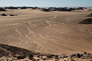 Archivo:Nubian desert,Wadi Halfa