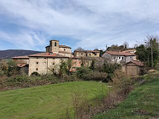 Ozilla, Araba.jpg