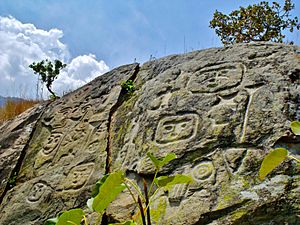 Archivo:Petroglifos en Vigirima