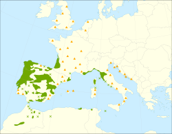 Distribución del pino rodeno en Europa.