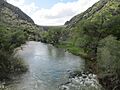 Putah Creek below dam