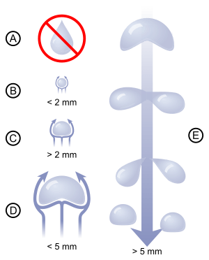 Archivo:Raindrops sizes