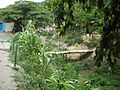 RioMacarao2004-8-27