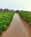 Rio Grande de Anasco - Anasco-Mayaguez Puerto Rico