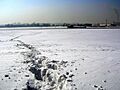 River Ob