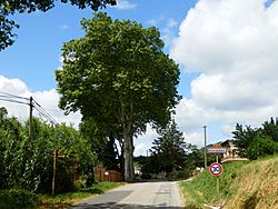 Rouvenac, Aude, France.jpg