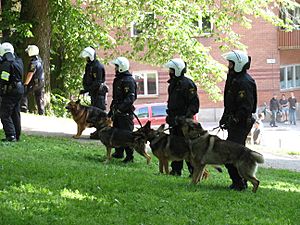 Archivo:Swedish police dogs
