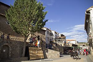 Archivo:Tarde de vaquillas en la plaza de Formiche Alto en las fiestas de San Roque 2019