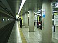 TokyoMetro-otemachi-platform-tozai-line