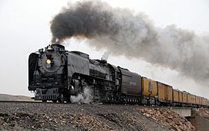 Archivo:Union Pacific 844, Painted Rocks, NV, 2009 (crop)