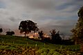 Vista de Turrialba centro desde el Volcán Turrialba (1)