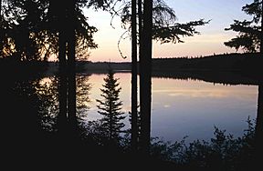 Wood-Buffalo-NP Pine Lake 98-07-03.jpg