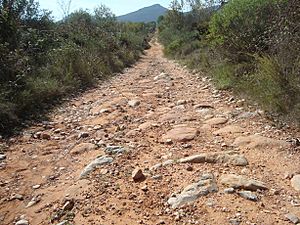 Archivo:Antiguo camino romano de la vía Augusta (La Puebla Tornesa)