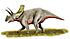 Arrhinoceratops BW.jpg