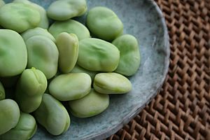 Archivo:Broad-beans-after-cooking
