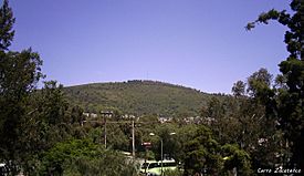 Cerro Zacatenco.jpg