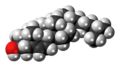 Cholesterol molecule spacefill