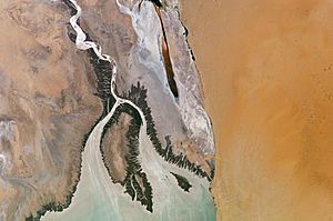 Archivo:ColoradoRiverDelta ISS009-E-09839