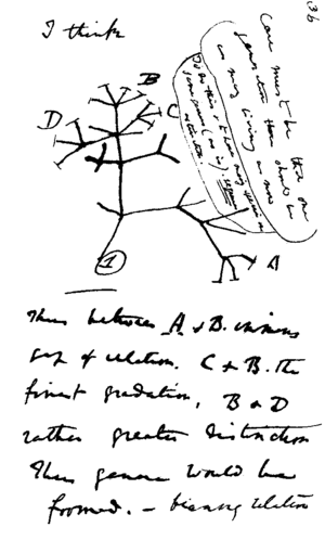 Archivo:Darwin tree