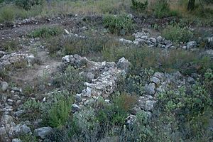 Archivo:El Puig-habit1