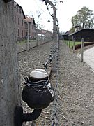 Electrified Fence, Auschwitz (2433530463)