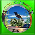 Escudo Curillo