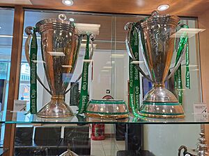 Archivo:European Cups