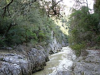 Foz de Arbayún río