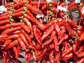 France-Piment d'Espelette-2005-08-05