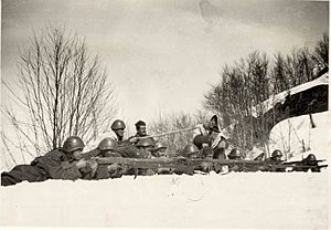 Archivo:Greek Army during Primavera Offensive Klisura March 1941