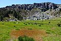 Hoyos del Iregua y canchal
