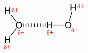Archivo:Hydrogen-bonding-in-water-2D
