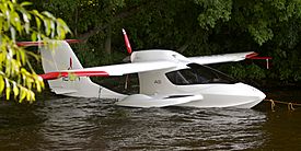 Archivo:Icon A5 in the water