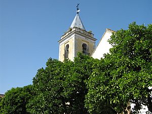 Archivo:Iglesia Virgen de las Nieves 0521